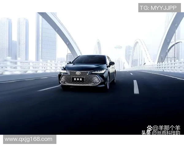 上海排球队以59分领跑洲际杯积分榜展现强劲实力