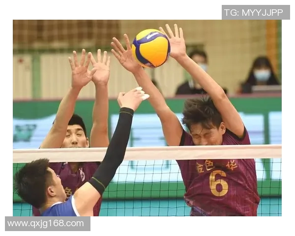 南京排球队引领最新排球意识TOP10榜单全景解析