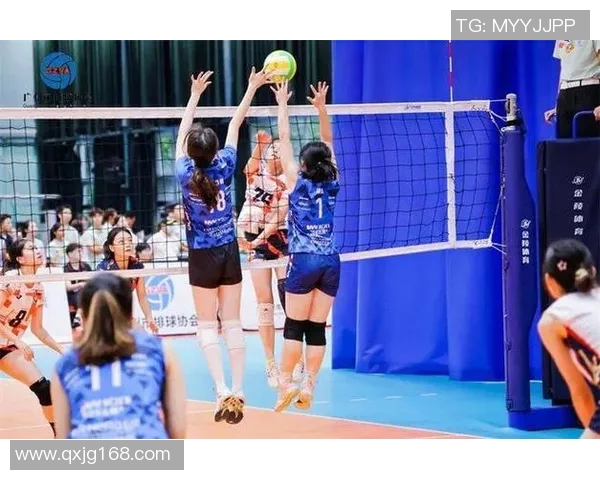 广州排球队个人能力变革引发热议助力团队整体实力提升