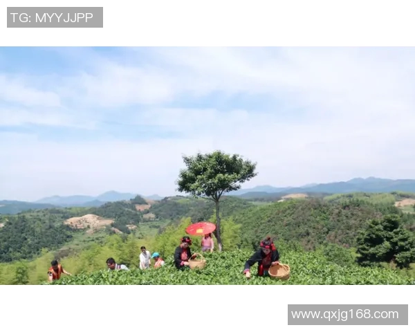 李丽独家分享排球心得与技巧助你提升球技的全方位指南