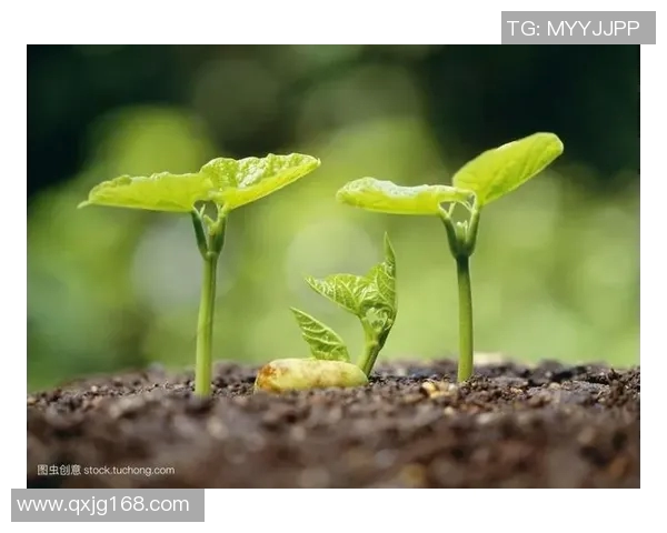 足球明星分享当爸爸的心路历程与家庭生活的点滴感悟 足球明星分享当爸爸的心路历程与家庭生活的点滴感悟