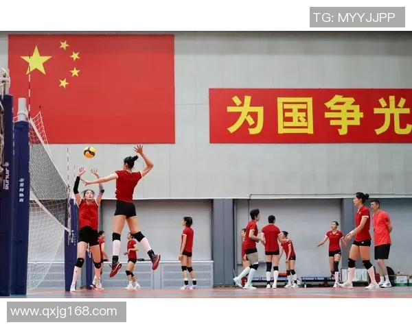 上海排球队在排球比赛经验排名中创新高引发广泛关注与期待